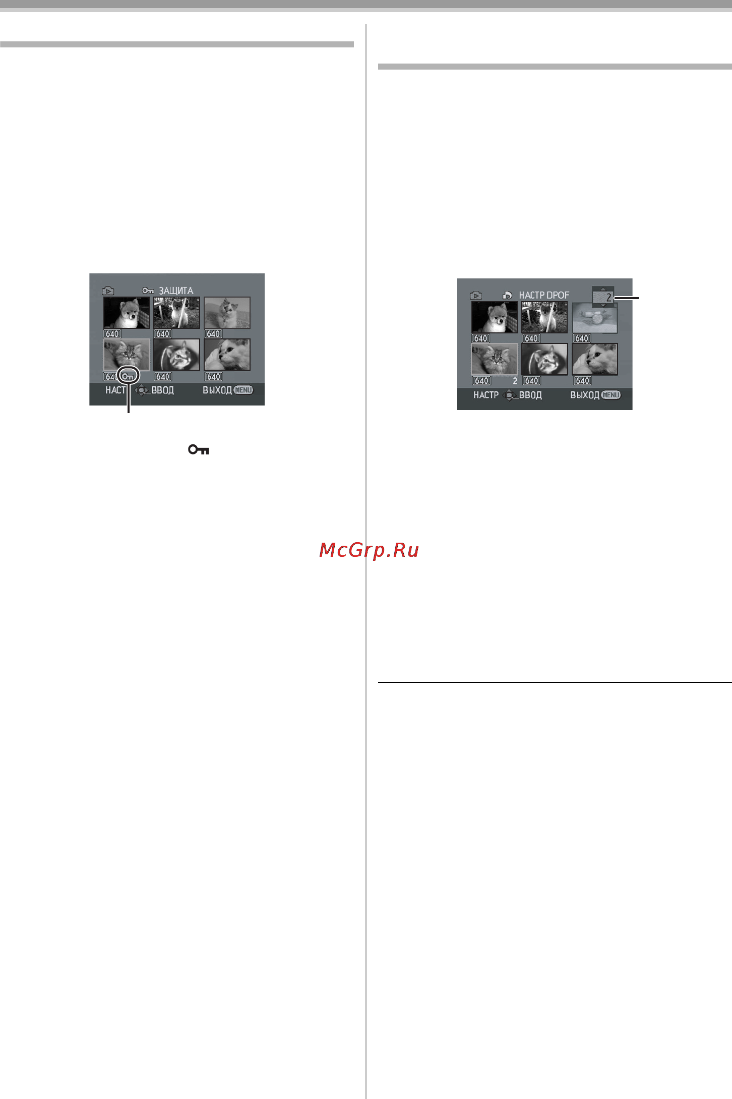 Panasonic NV-GS230EE Инструкция по эксплуатации онлайн [39/128] 17918