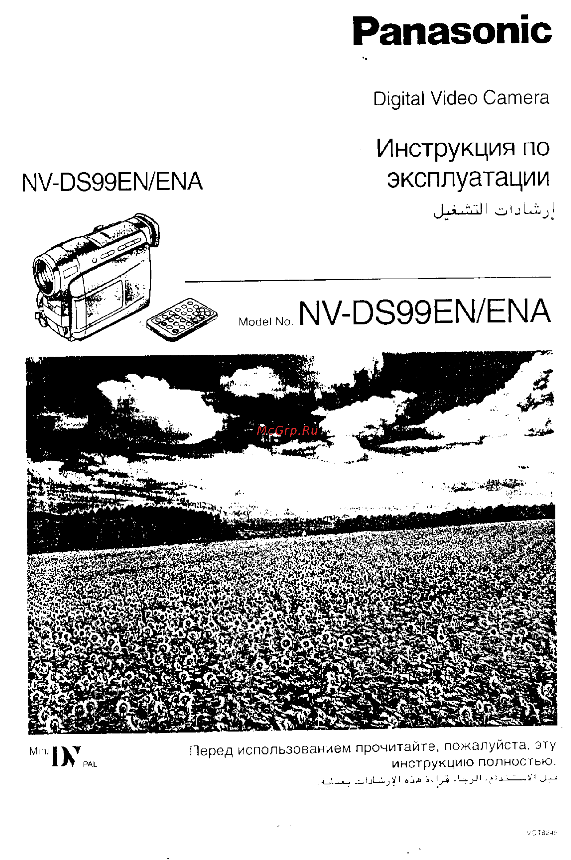 Panasonic NV-DS99EN Инструкция по эксплуатации онлайн