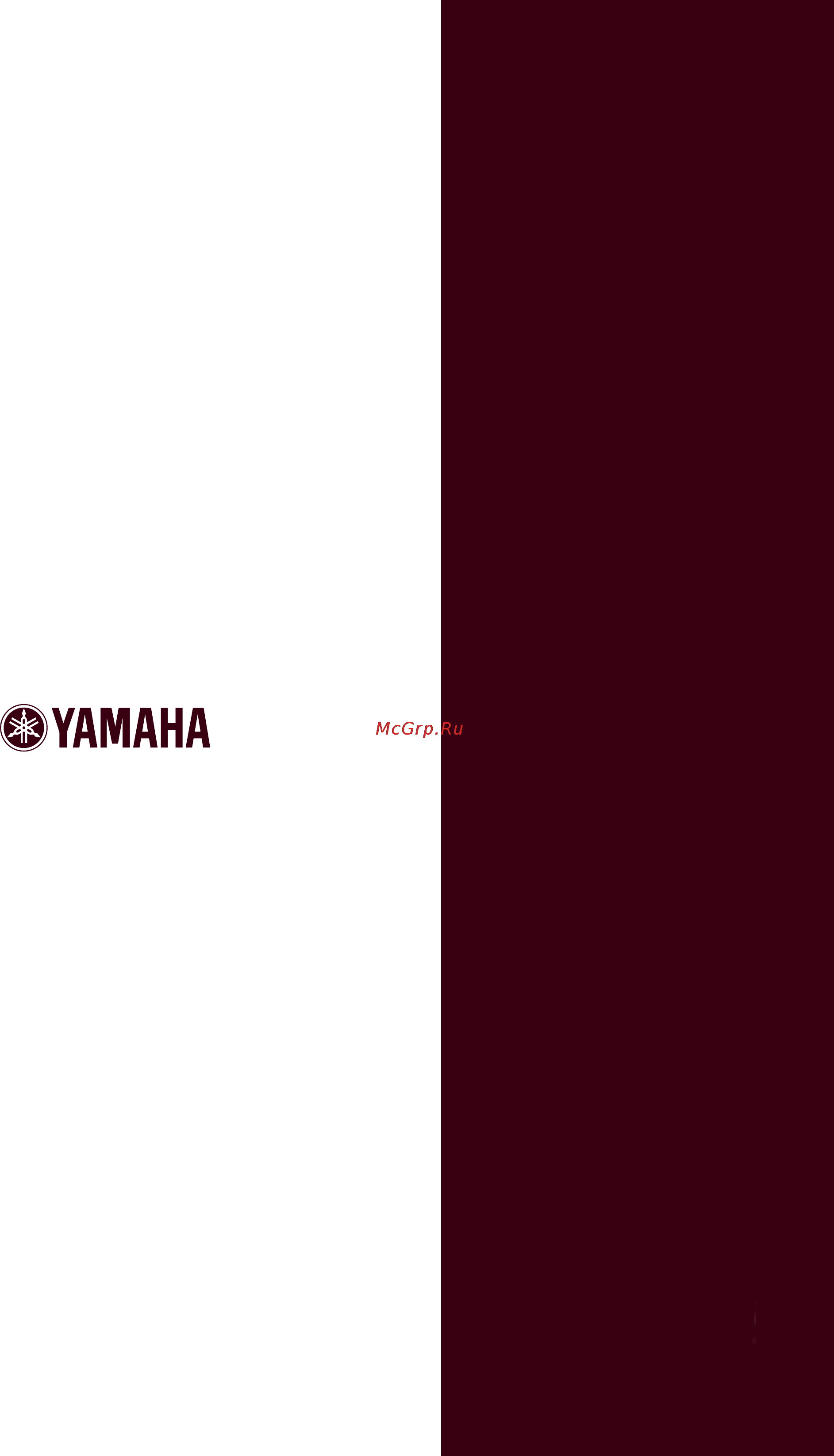 Yamaha PSR-540 Инструкция по эксплуатации онлайн [160/160] 18195