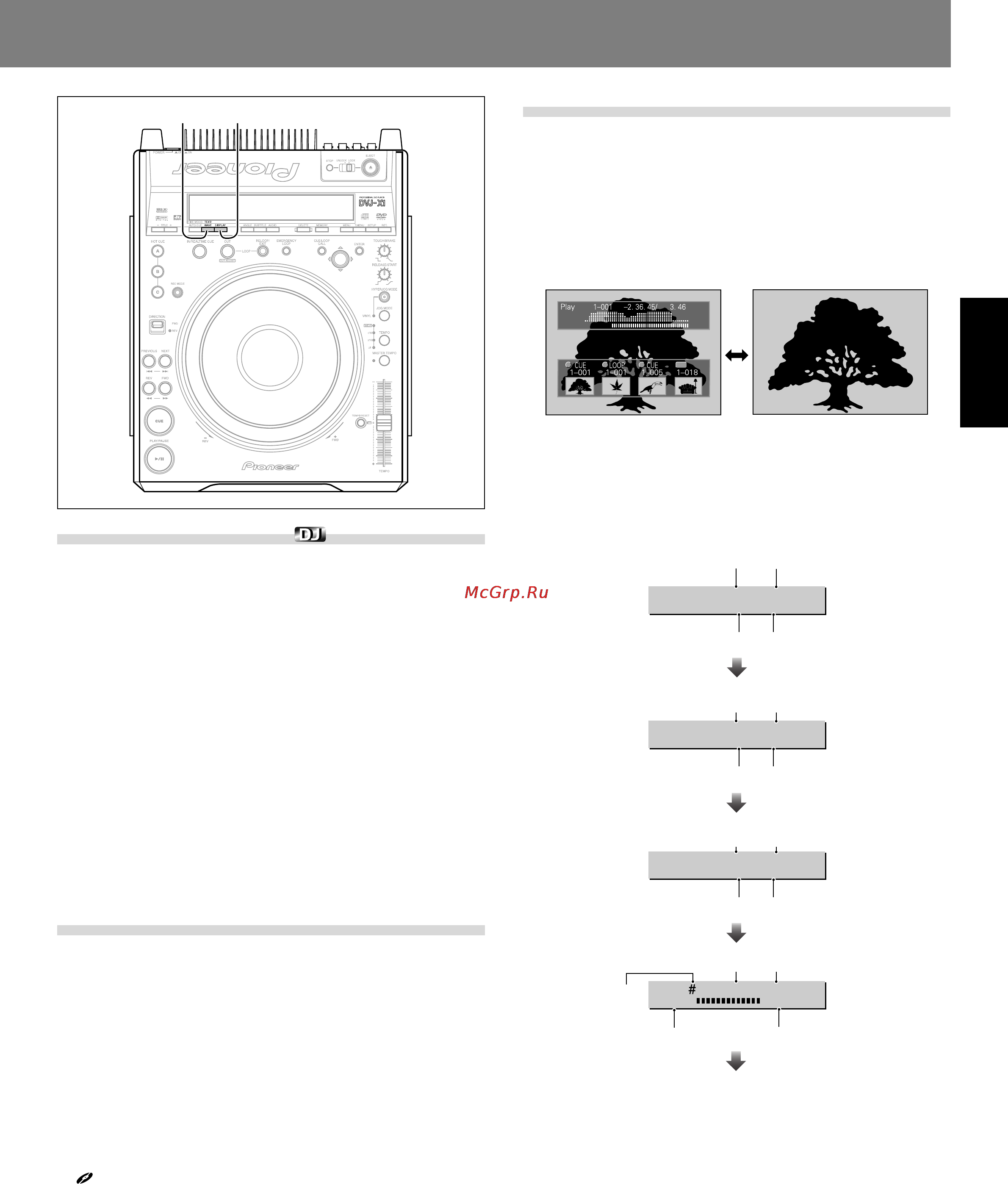 Pioneer DVJ-X1 [93/103] Acerca de la visualización de text