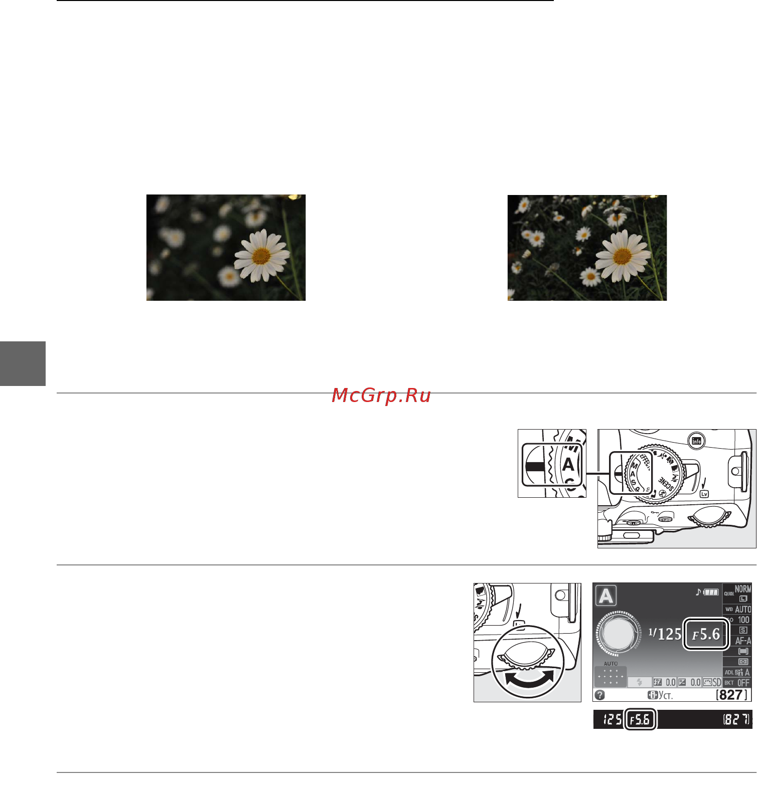 Nikon D5100 Kit 18-140VR Black [82/260] Режим a авт с приор диафрагмы