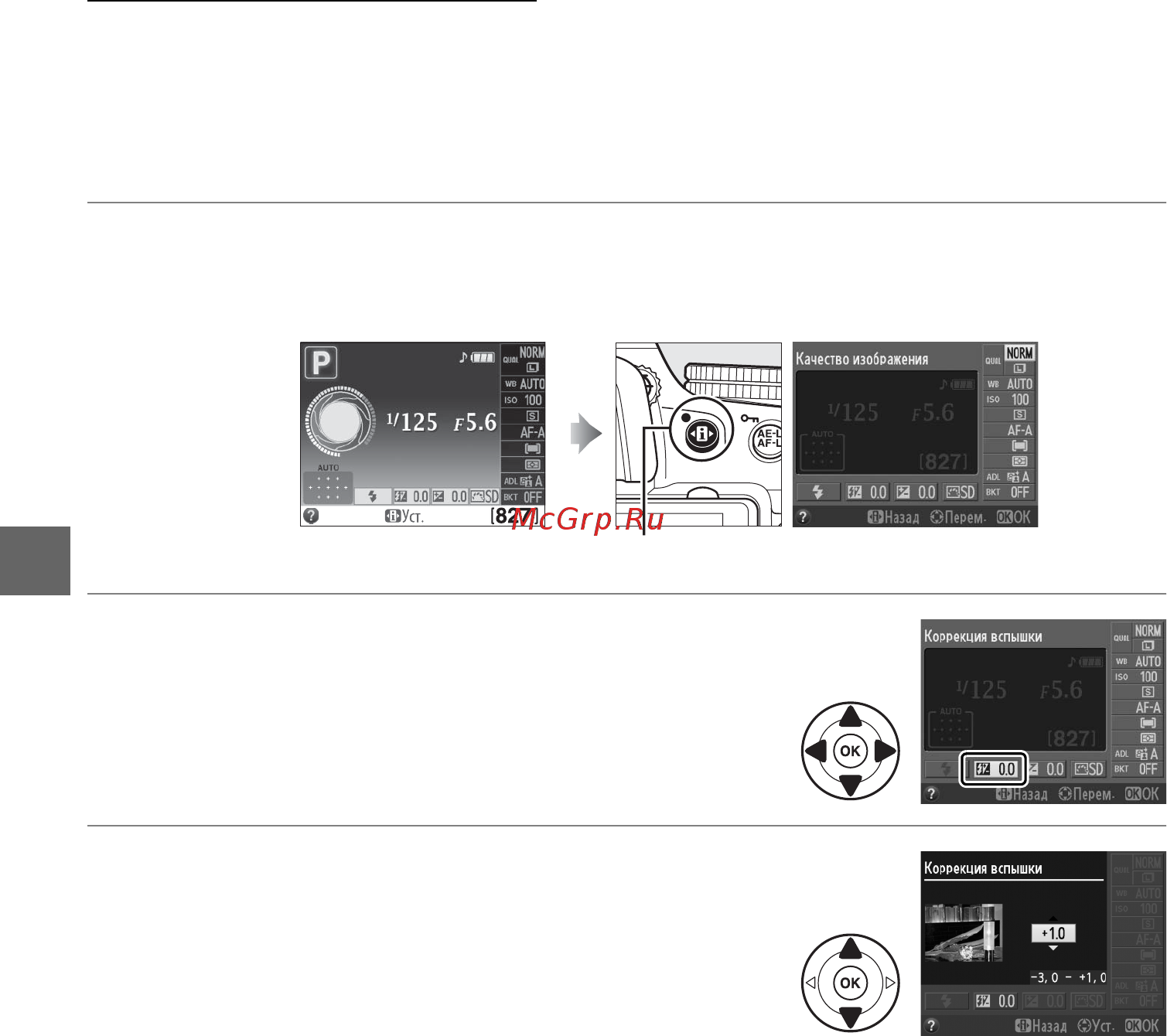 Nikon D5100 kit 18-55VR [90/260] Коррекция вспышки