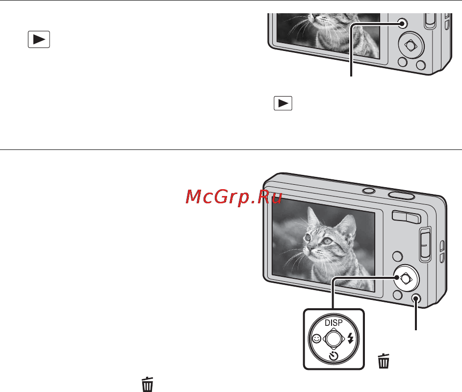 Sony DSC-W350 Silver [50/92] Просмотр изображений