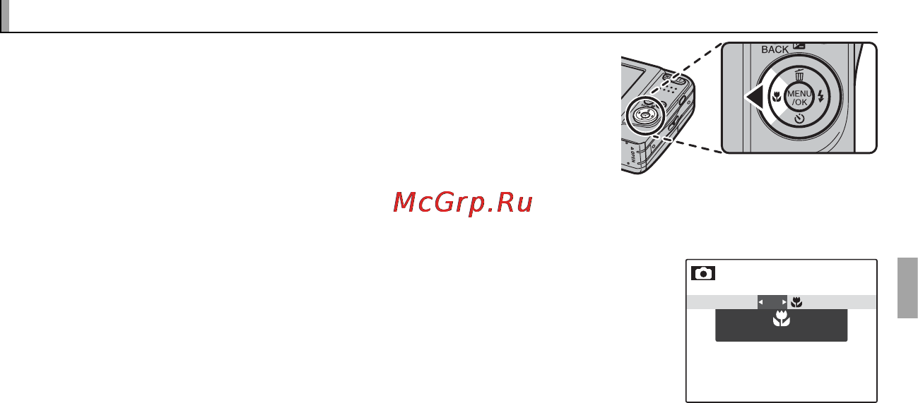 Fujifilm FinePix AX380 [39/110] F f режим макросъемки съемка с близкого расстояния режим макросъемки съемка с близкого расстояния