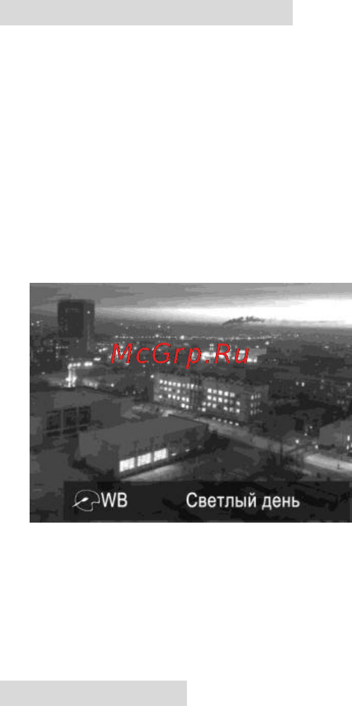 Explay D2 Инструкция по эксплуатации онлайн [14/34] 19272