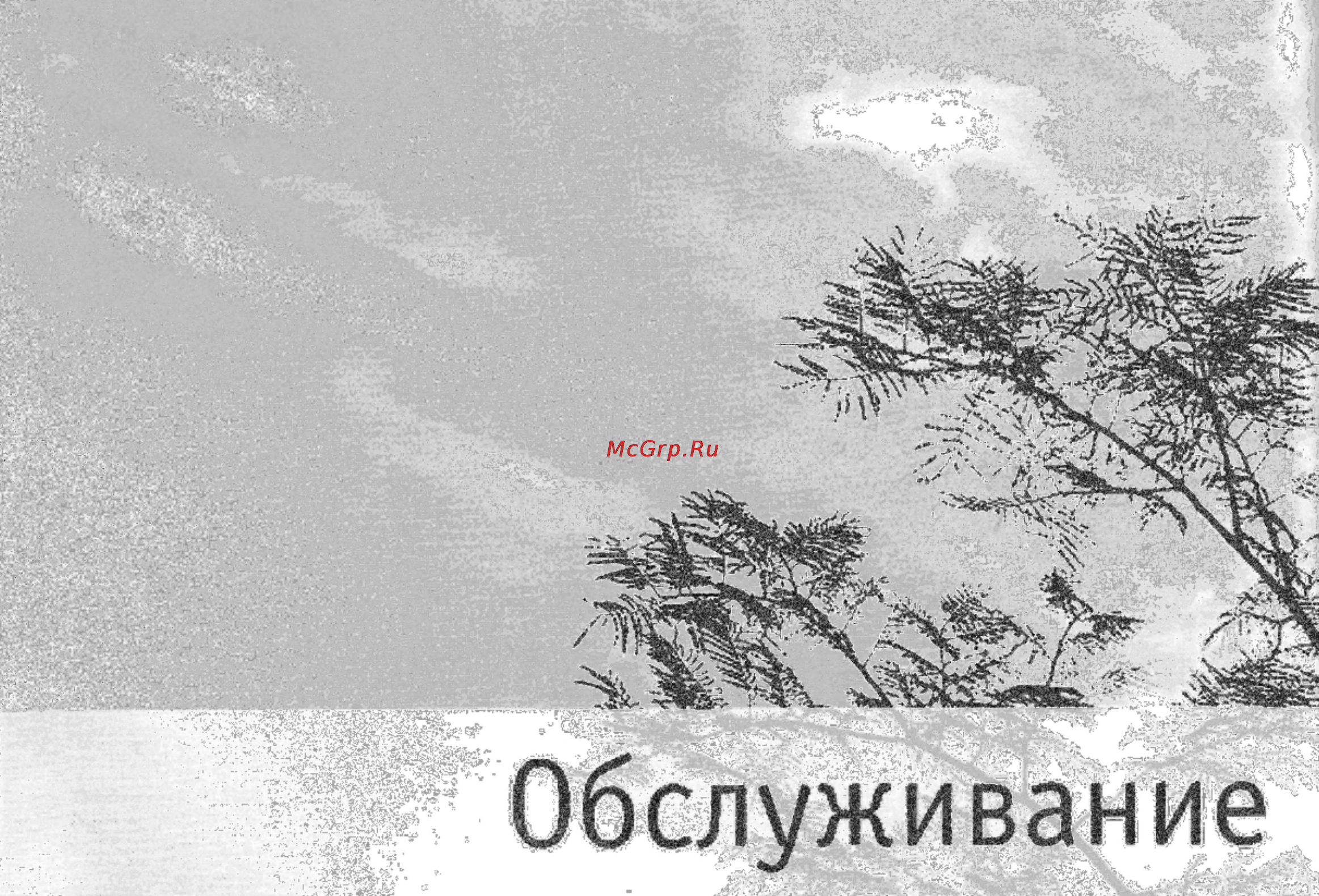 Bork SF TOR 2560 SI Инструкция по эксплуатации онлайн [16/17] 19839