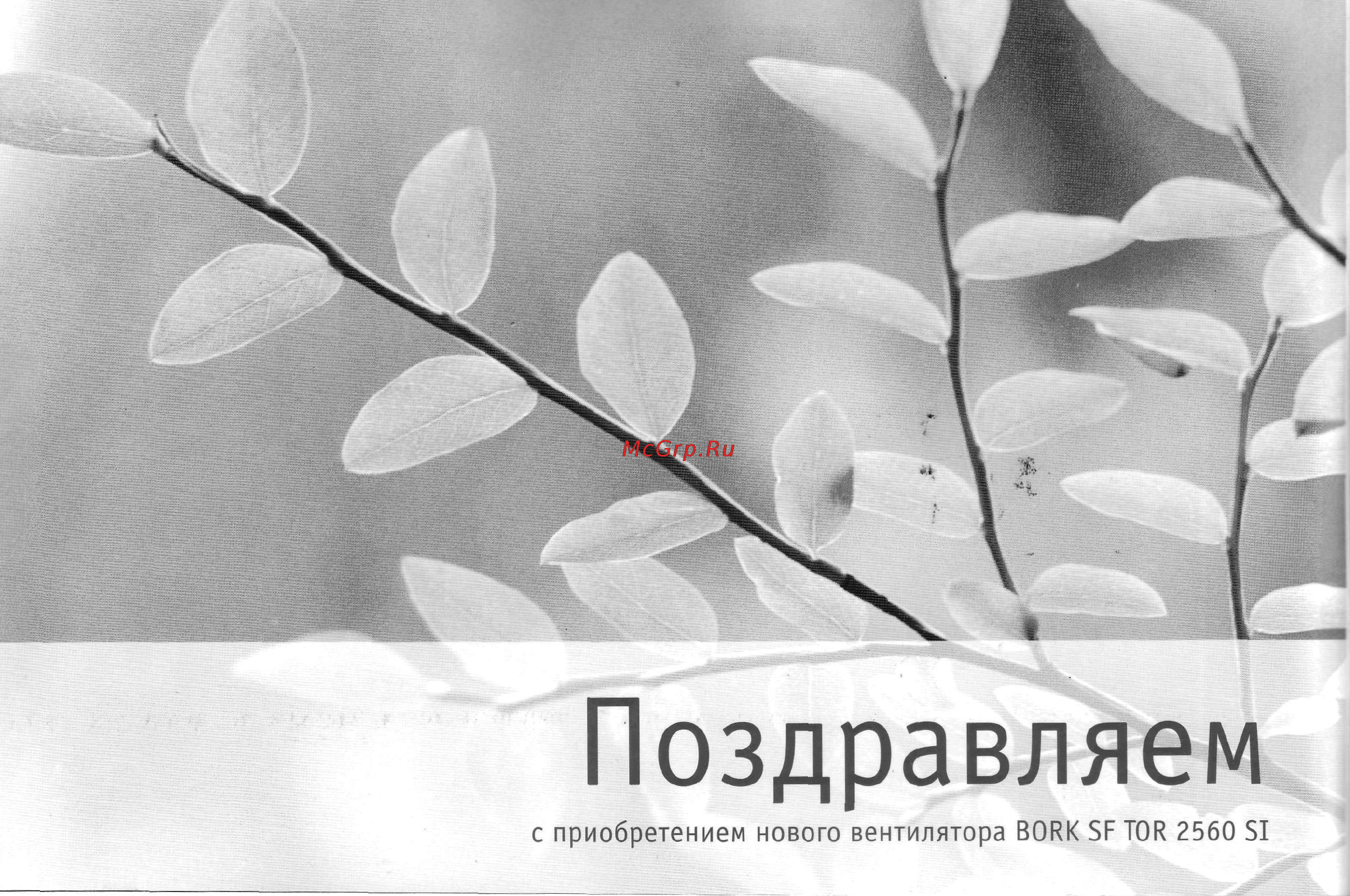 Bork SF TOR 2560 SI Инструкция по эксплуатации онлайн [4/17] 19839