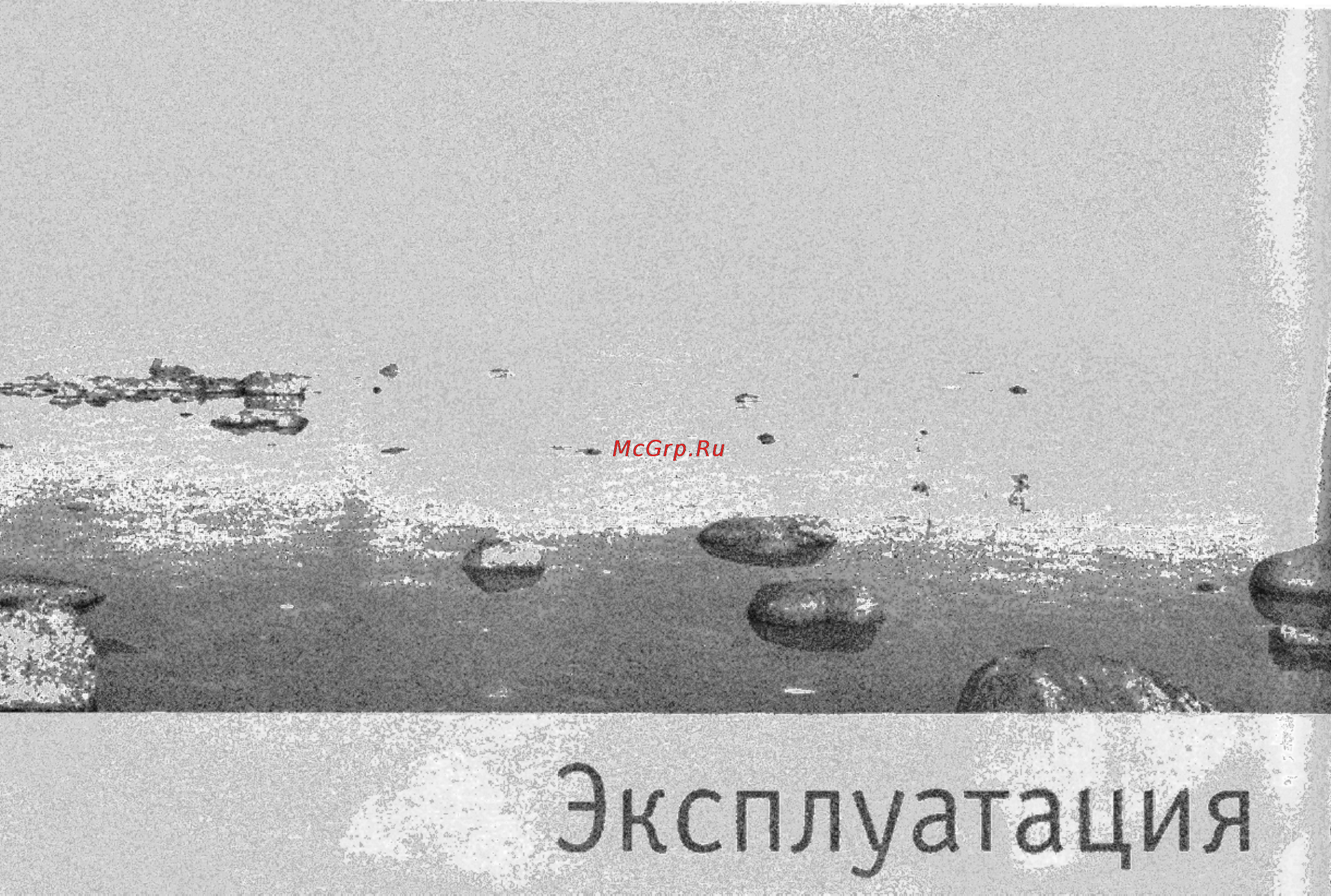 Bork SF TOR 2560 SI Инструкция по эксплуатации онлайн [8/17] 19839