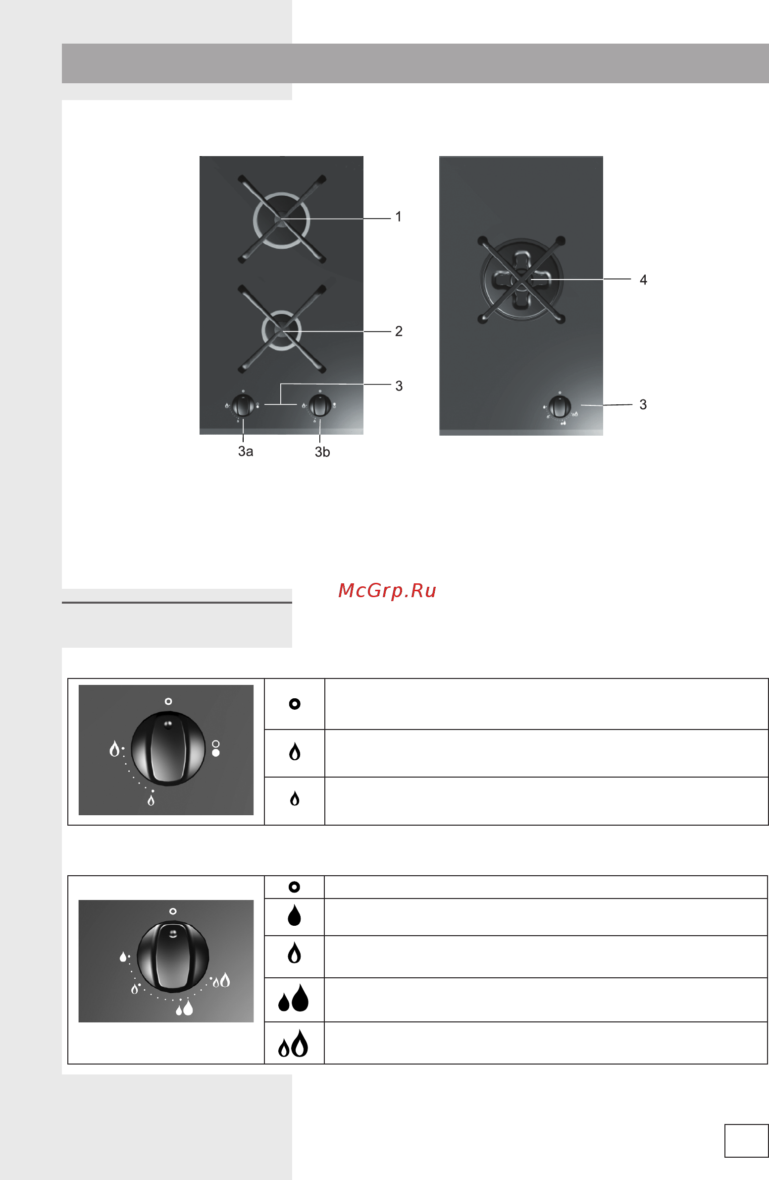 Gorenje GCS 330 C [3/20] Модель с двумя горелками