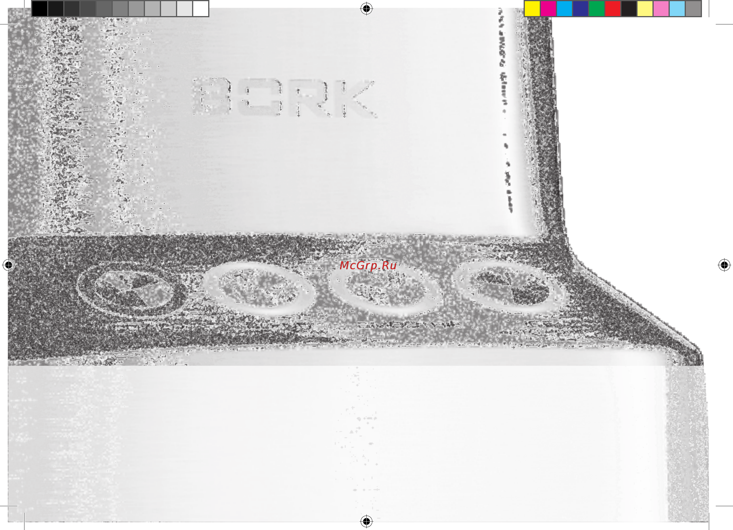 Bork SB SAN 96150 SI [4/36] Поздравляем