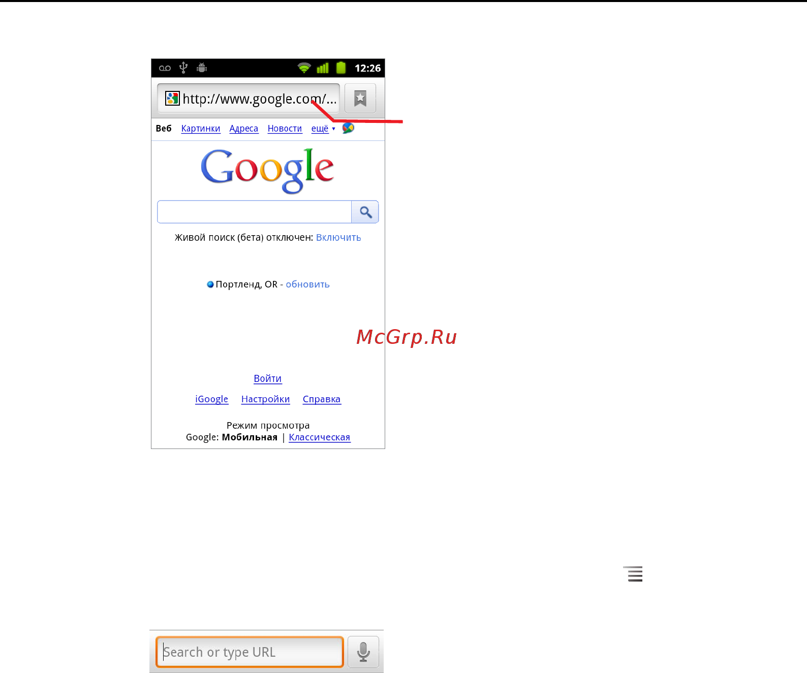 Google Android 2.3 [265/430] Открытие веб страницы или поиск в интернете