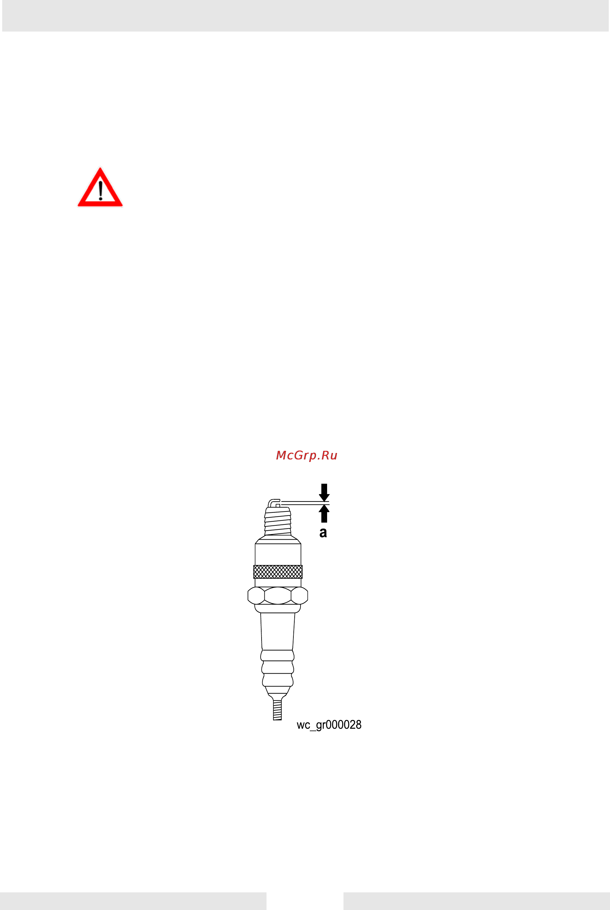 Wacker Neuson CT 24-4 A  620105 [28/42] Свеча зажигания