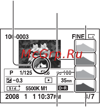 Sony Alpha DSLR-A300 Инструкция по эксплуатации онлайн [122/195] 39672