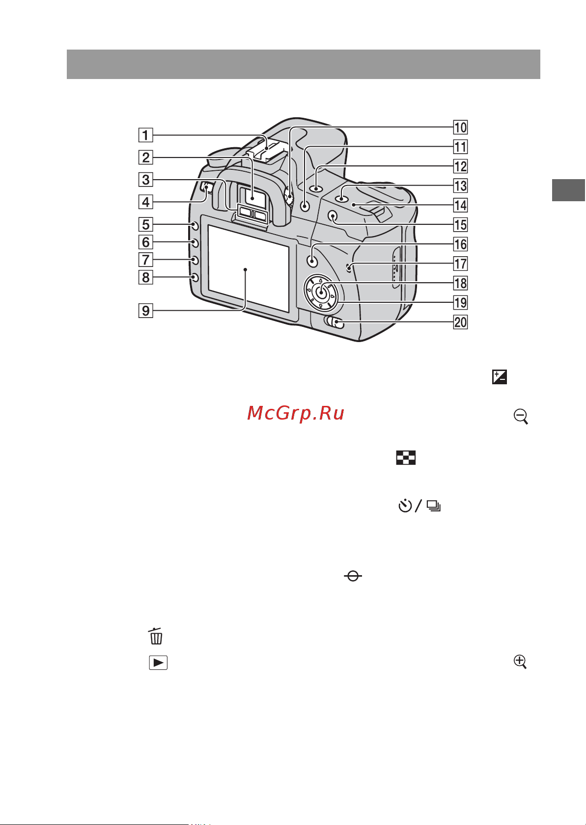 Sony DSLR-A200 [35/183] Задняя сторона