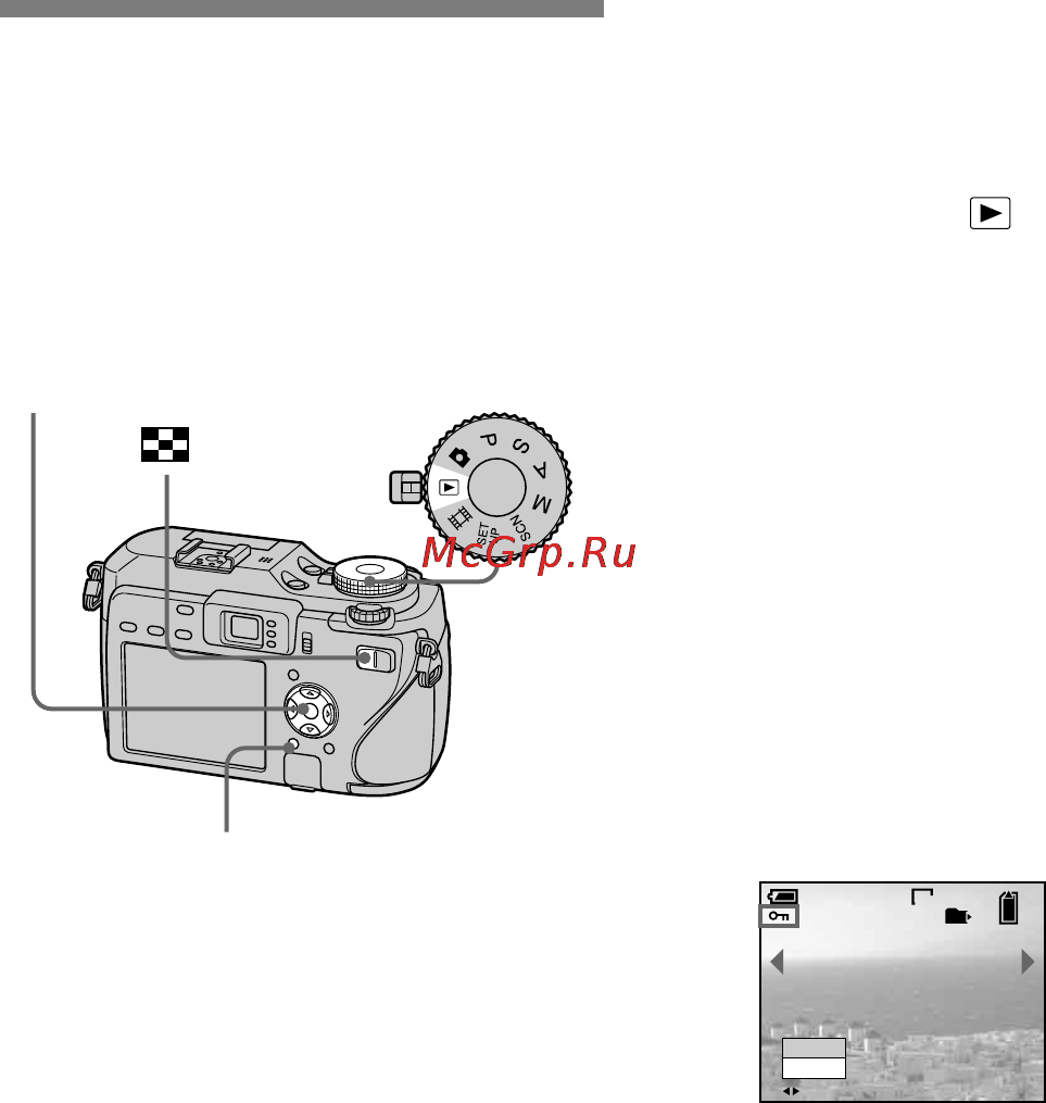 Sony DSC-V3 [102/186] Защита изображений