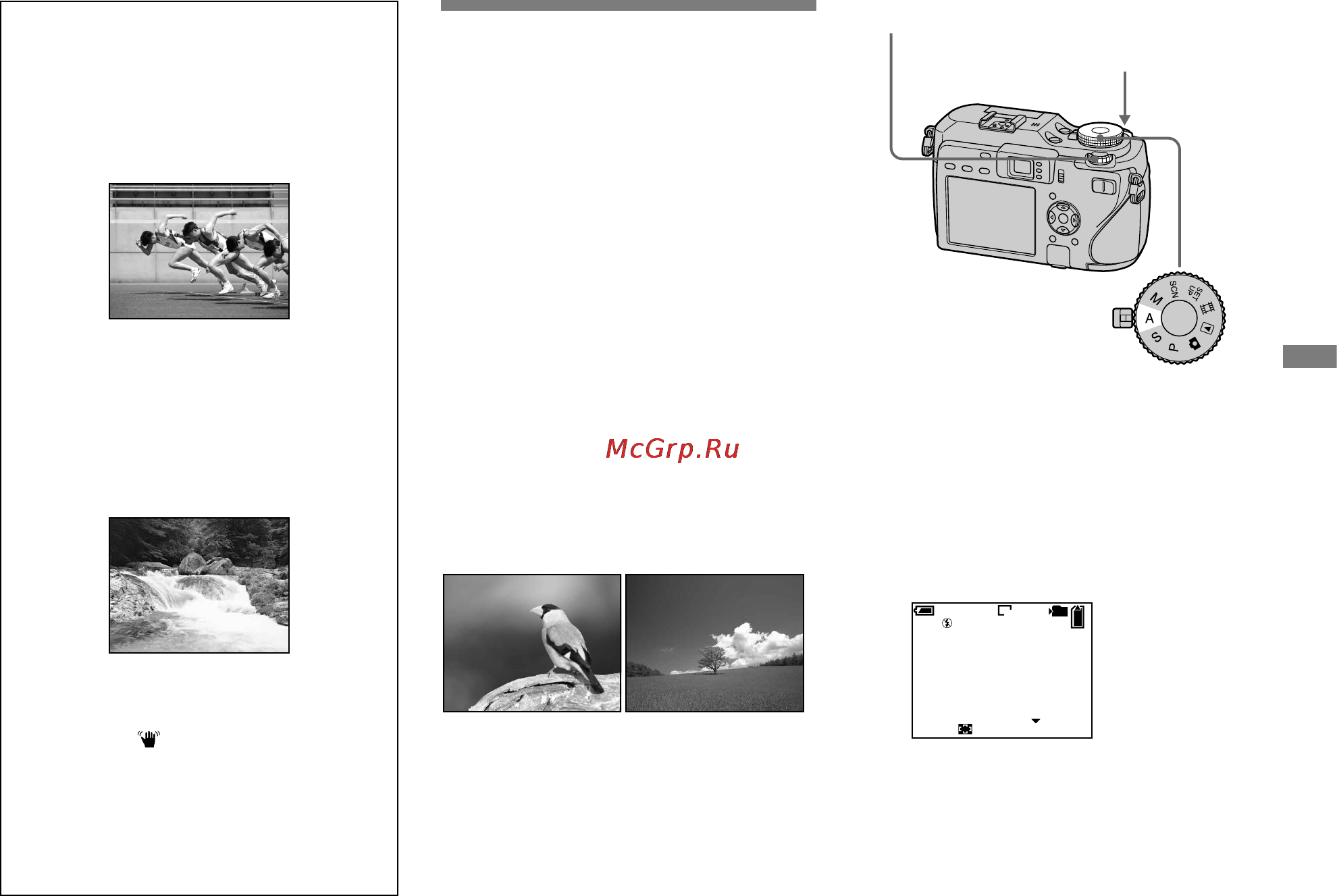 Sony DSC-V3 [65/186] Съемка в режиме приоритета диафрагмы