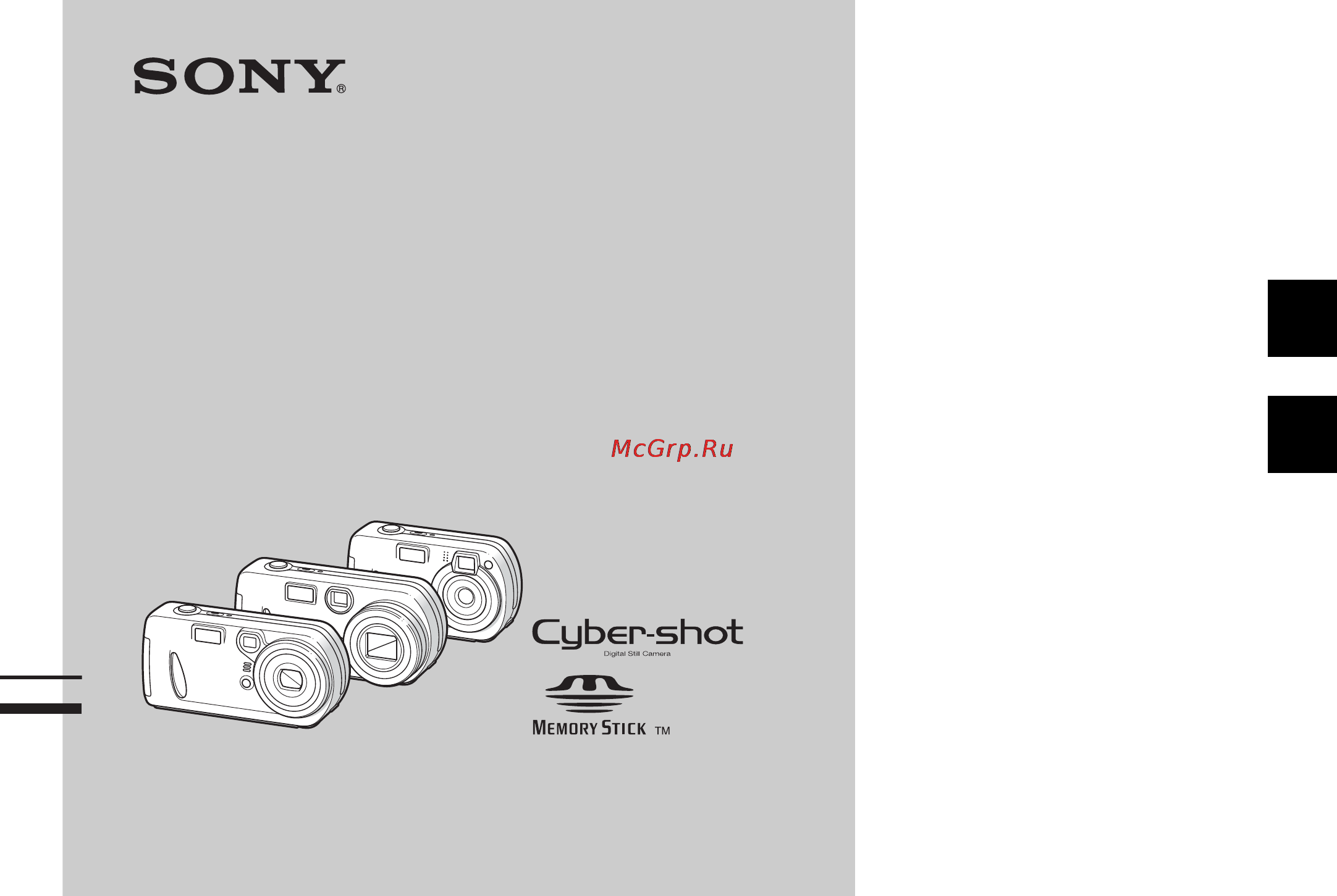 Sony DSC-P32 Инструкция по эксплуатации онлайн