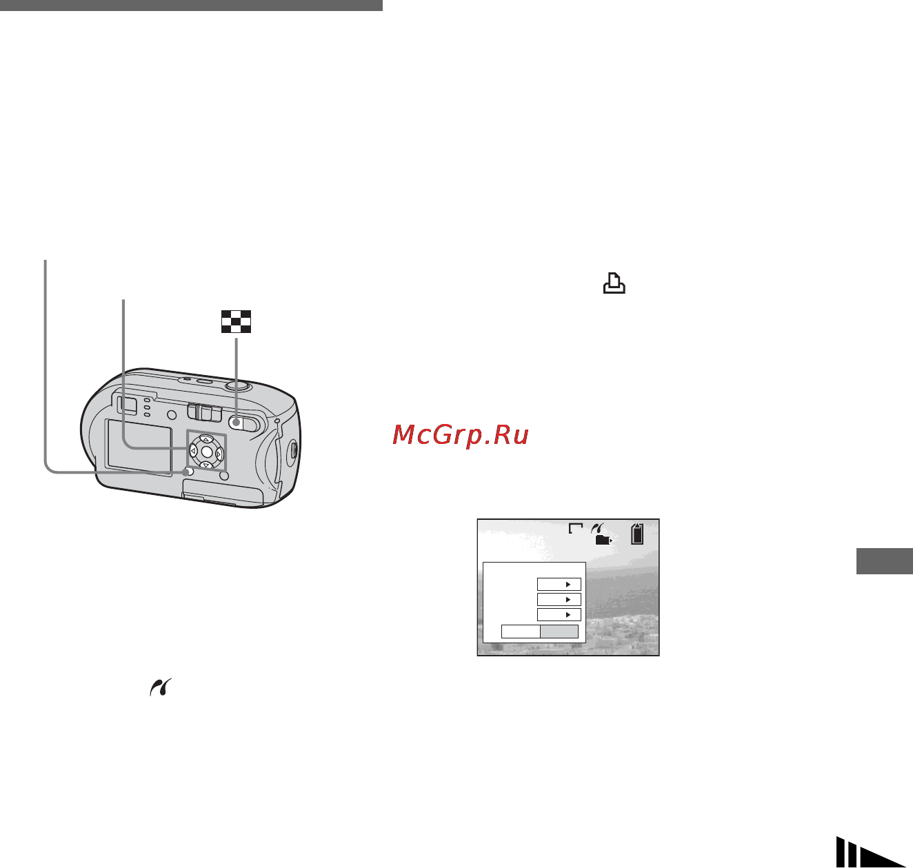 Sony DSC-P43 [71/128] Печать изображений