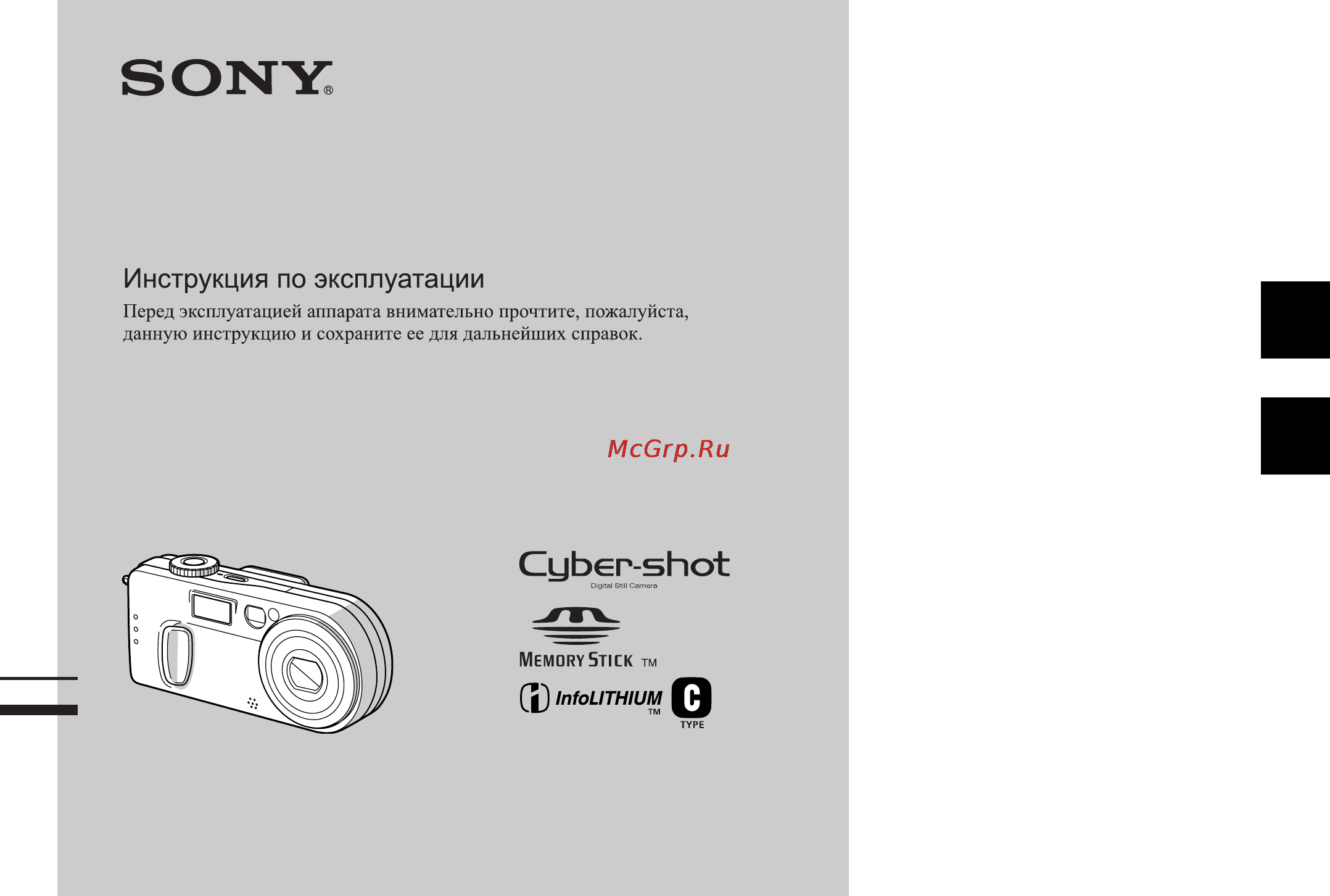 Sony DSC-P2 Инструкция по эксплуатации онлайн