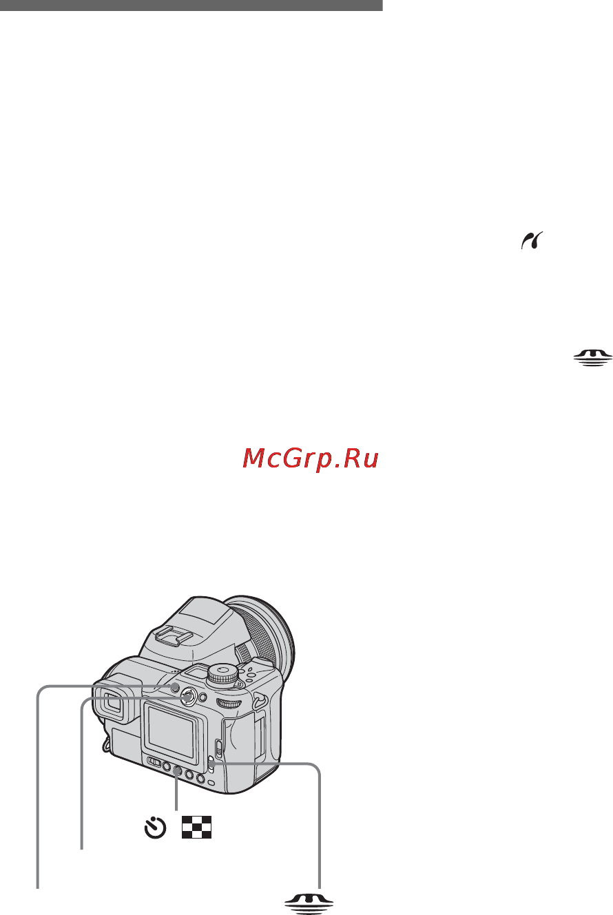 Sony DSC-F828 [106/336] Печать группы изображений