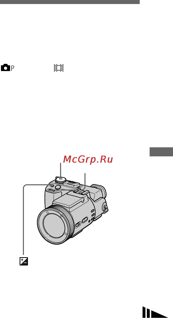 Sony DSC-F717 [49/256] Ãåãóëè²îâêà æêñïîçèöèè