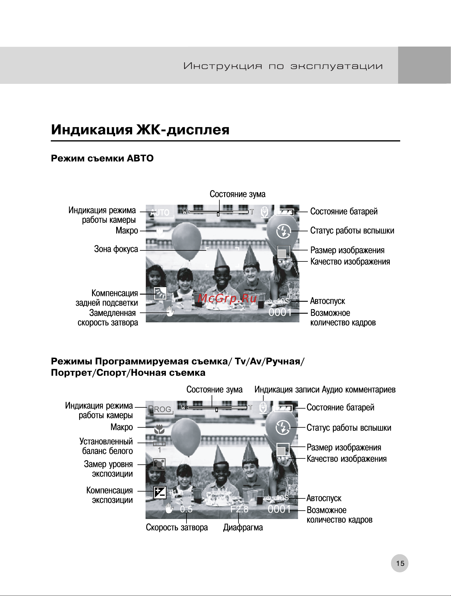 Rekam Presto T55 [16/74] Индикация жк дисплея
