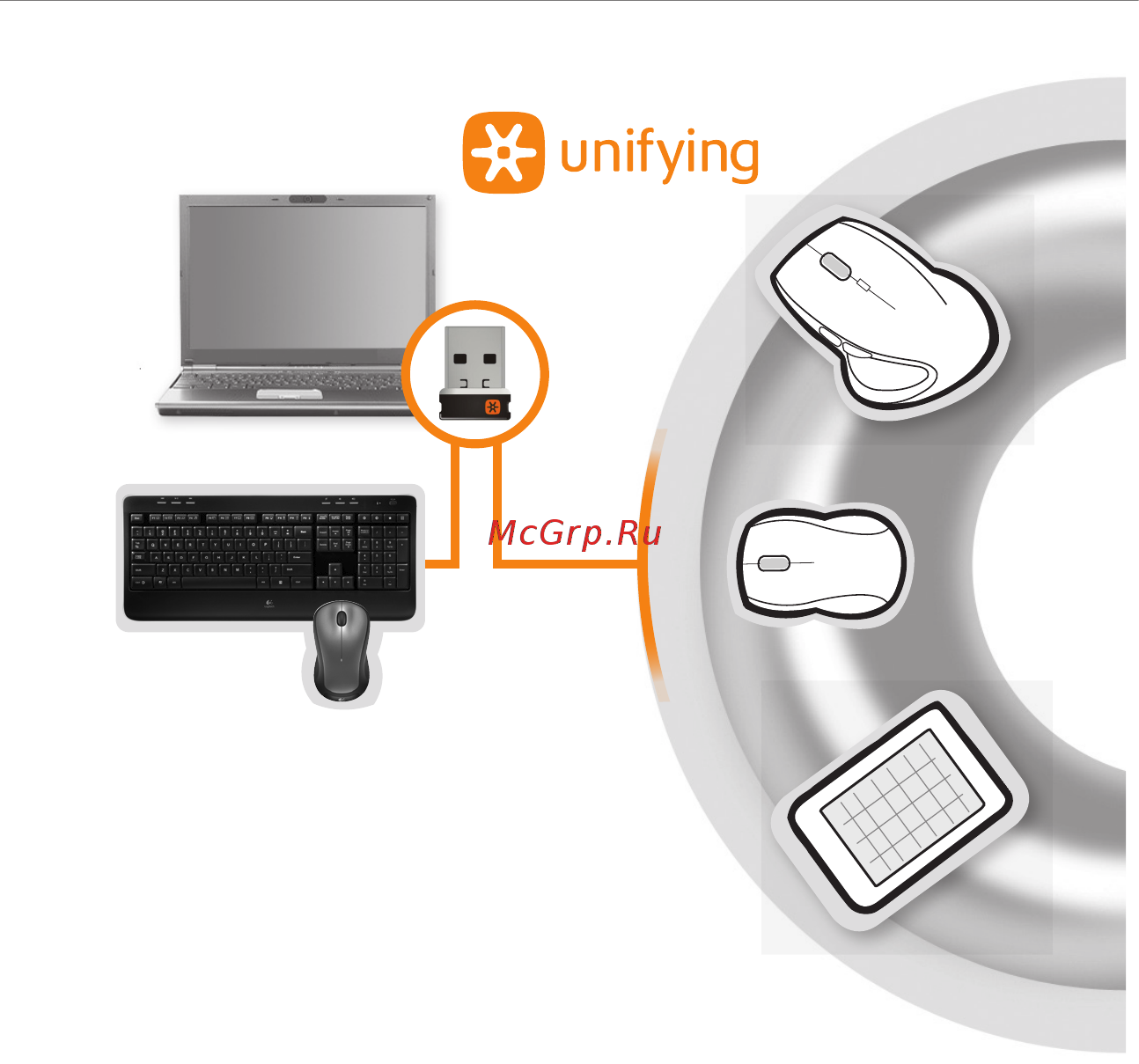 Logitech MK520 Инструкция по эксплуатации онлайн [12/25] 24572