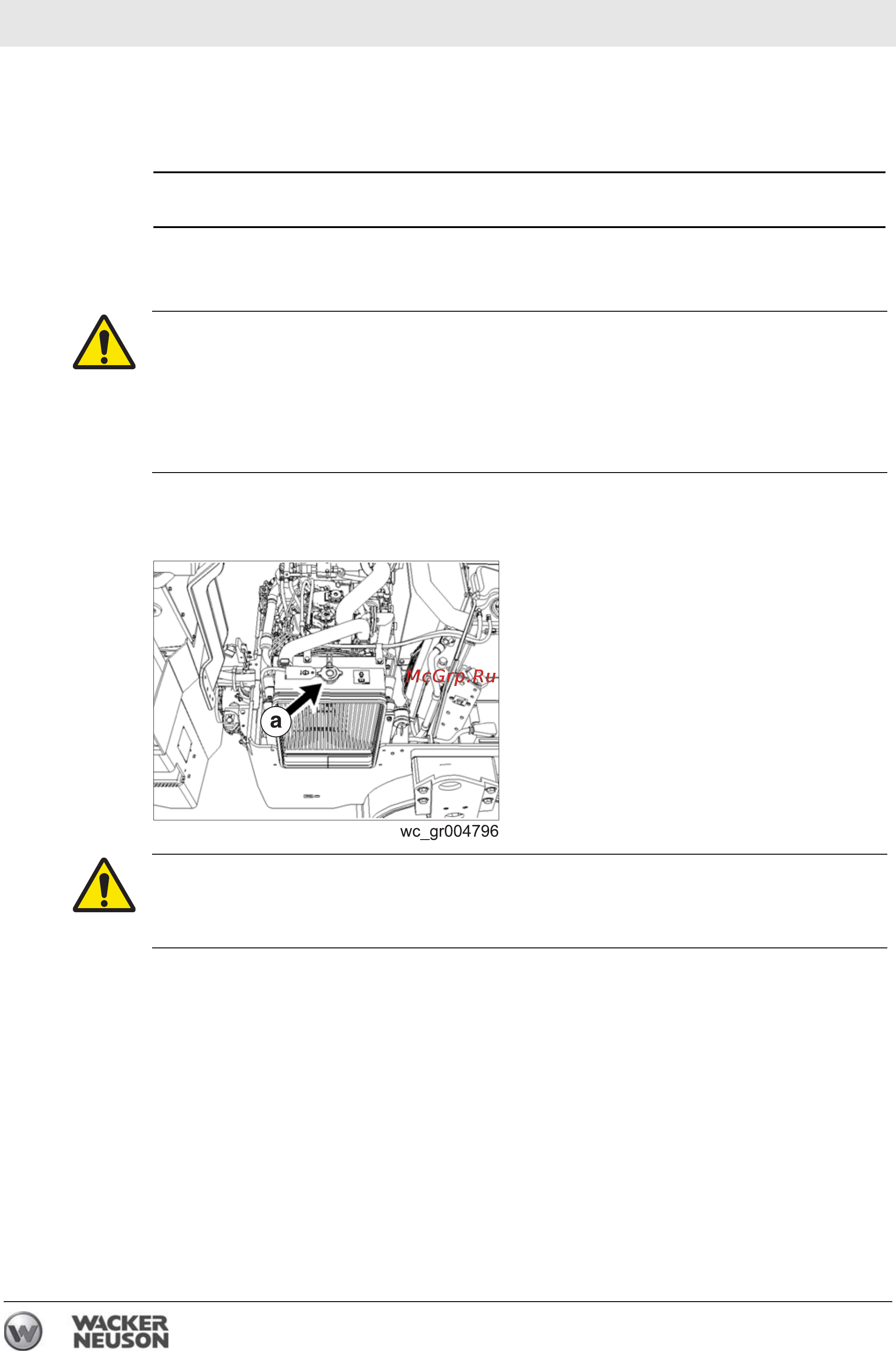 Wacker Neuson RD 27-100 0620037 [96/122] Èñòêà íàëèâíîé ï²îáêè ²àäèàòî²à