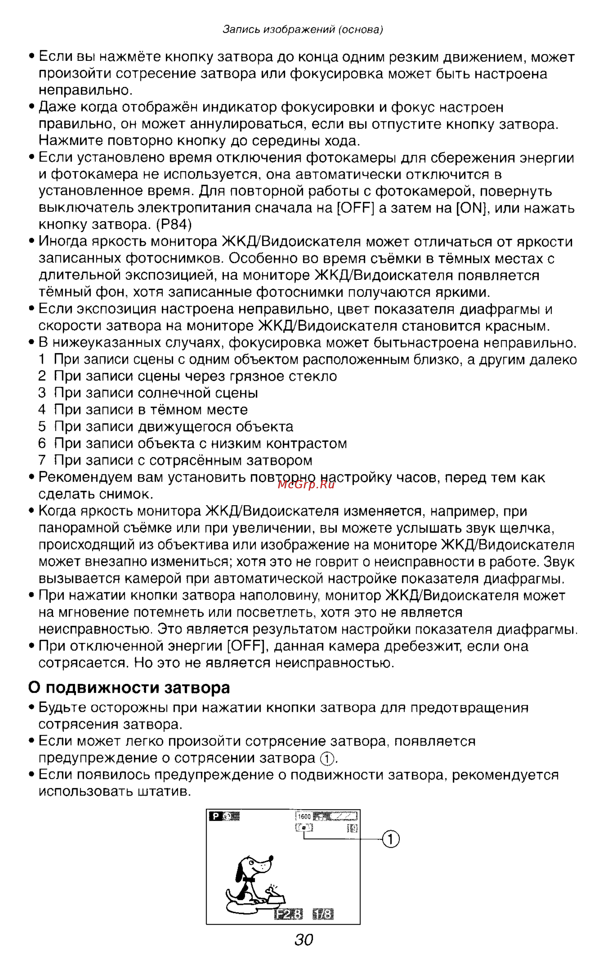 Panasonic LUMIX DMC-FZ2 [30/154] О подвижности затвора