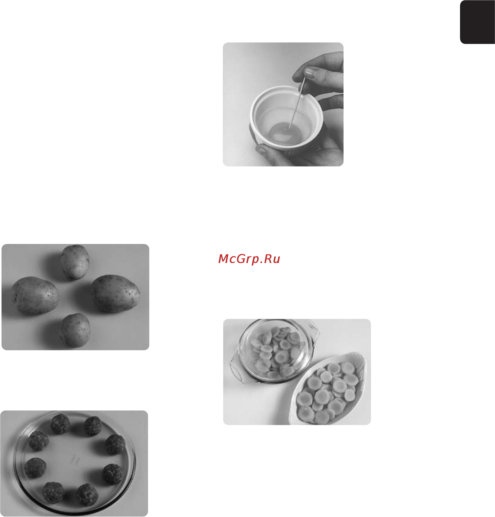 Panasonic NN-GT260 [13/109] General guidelines