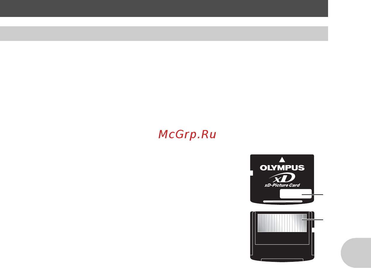 Olympus SP-510UZ [77/97] Использование дополнительных принадлежностей