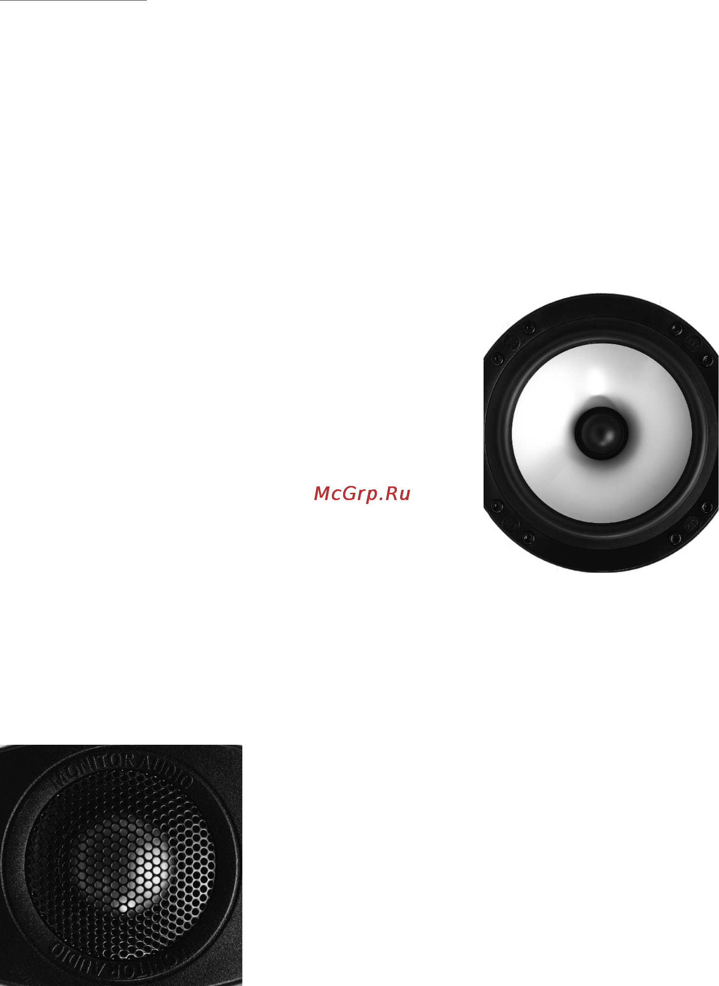 Monitor Audio Monitor Centre Black [4/16] Введение