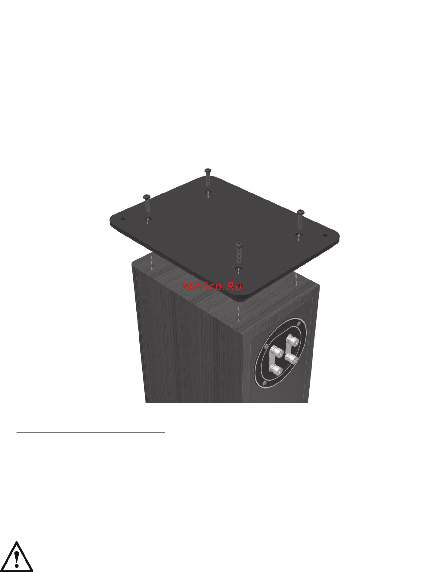Monitor Audio Bronze BX Centre Black [10/16] Крепление основания