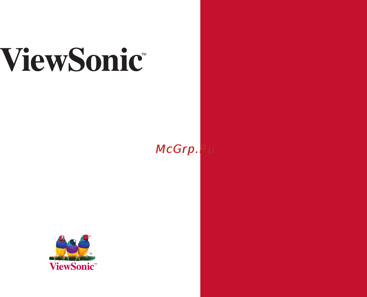 Viewsonic VMP30 Инструкция по эксплуатации онлайн
