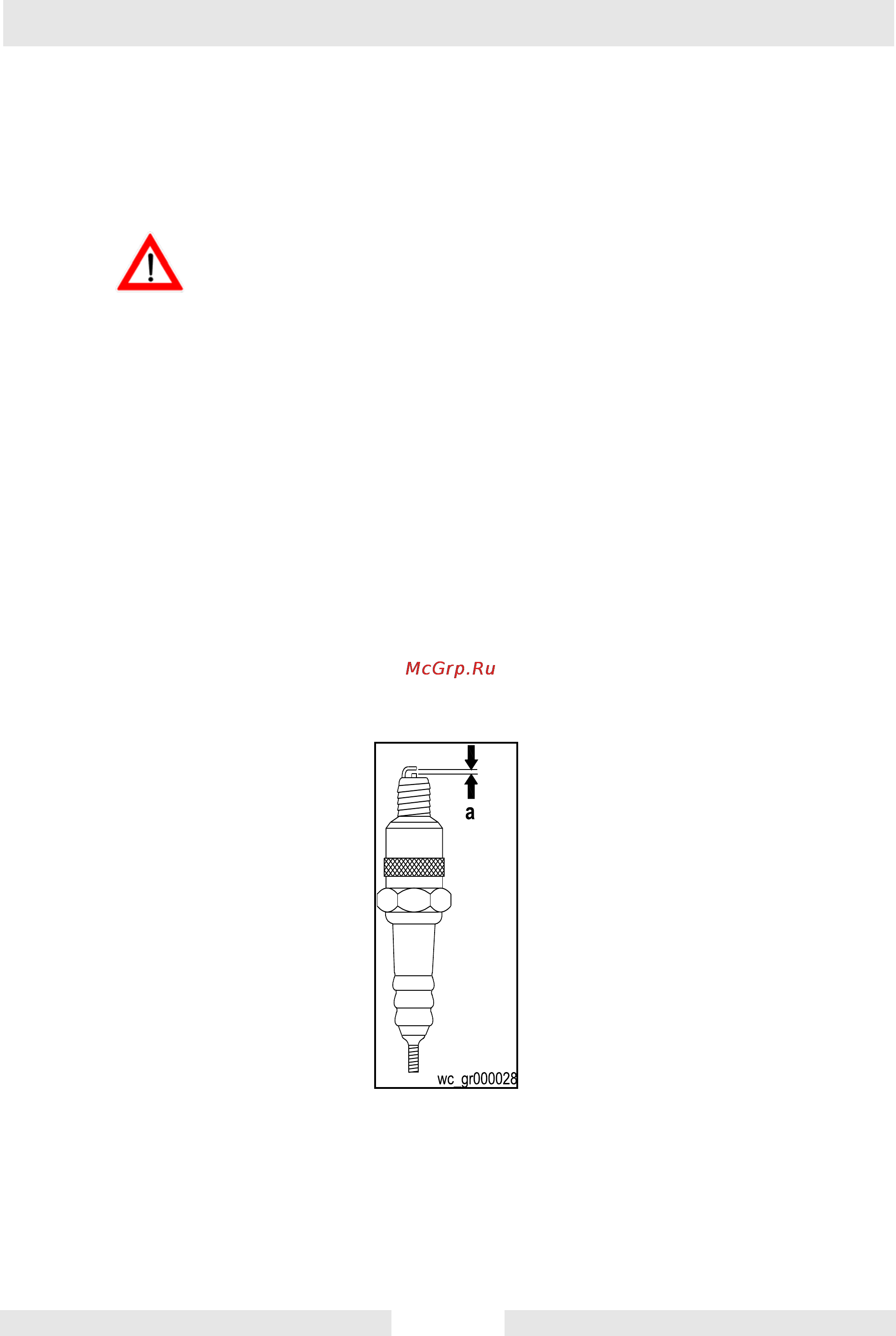 Wacker Neuson P 35A  620364 [26/32] Свеча зажигания