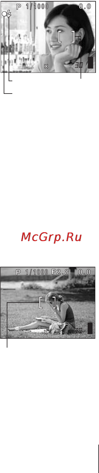 Olympus C-770 Ultra Zoom [27/60] Наведите метку автофокуса на