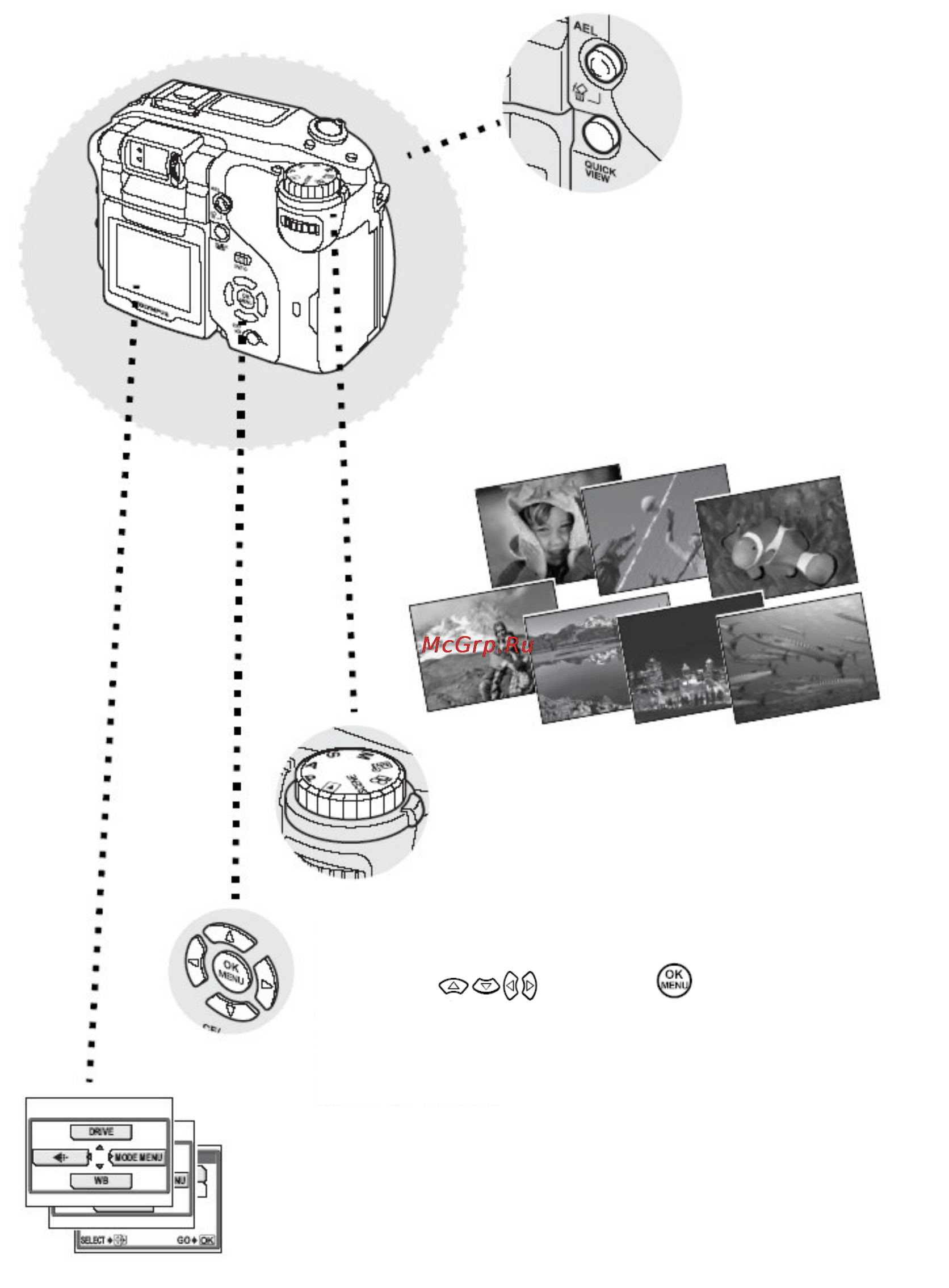 Olympus C-7070 Wide Zoom Инструкция по эксплуатации онлайн [4/198] 26899
