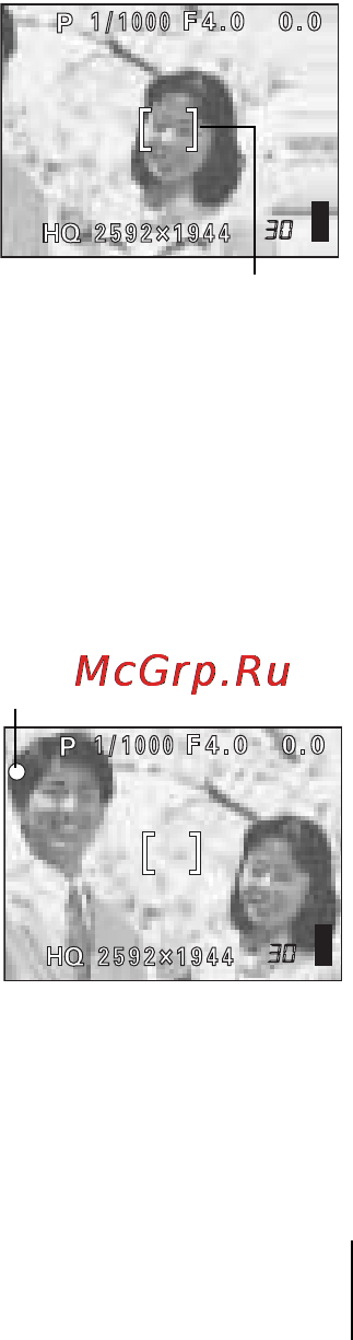 Olympus C-5060 Wide Zoom [33/60] Если корректная фокусировка невозможна фиксация фокуса