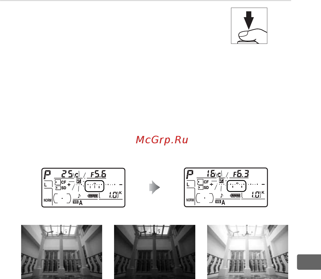 Nikon D300S Body [149/432] Скомпонуйте кадр выполните фокусировку и сделайте снимок