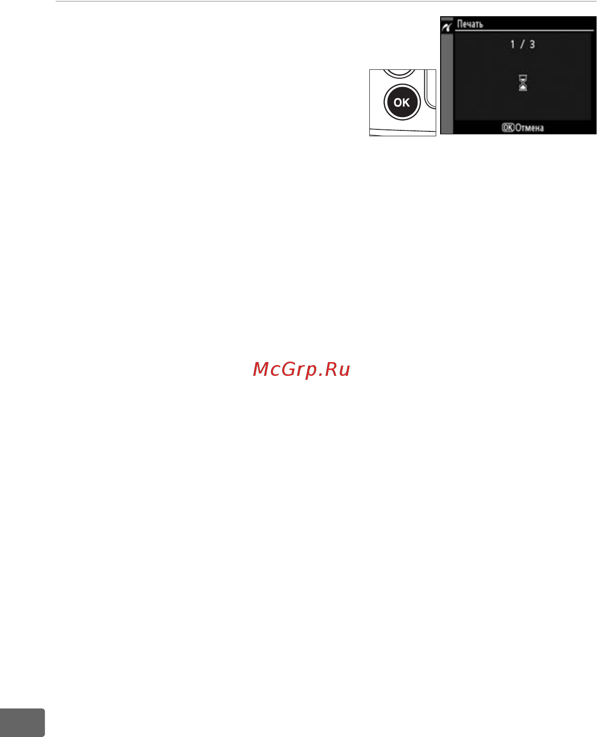 Nikon D300S Body [258/432] Начать печать