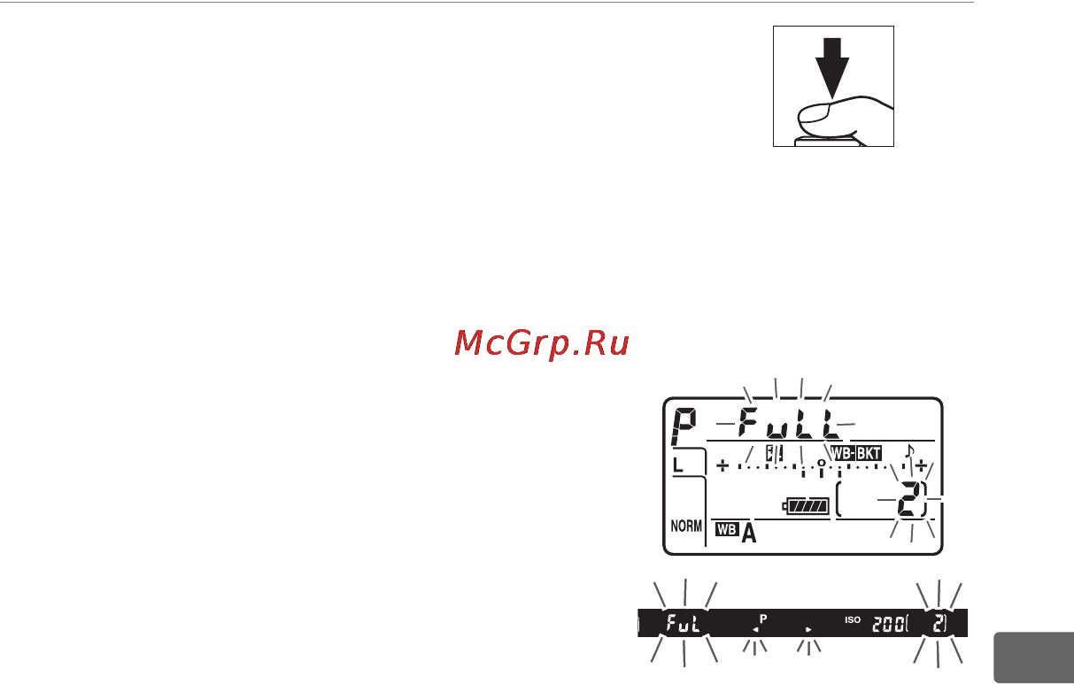 Nikon D700 Body [163/472] Скомпонуйте кадр выполните