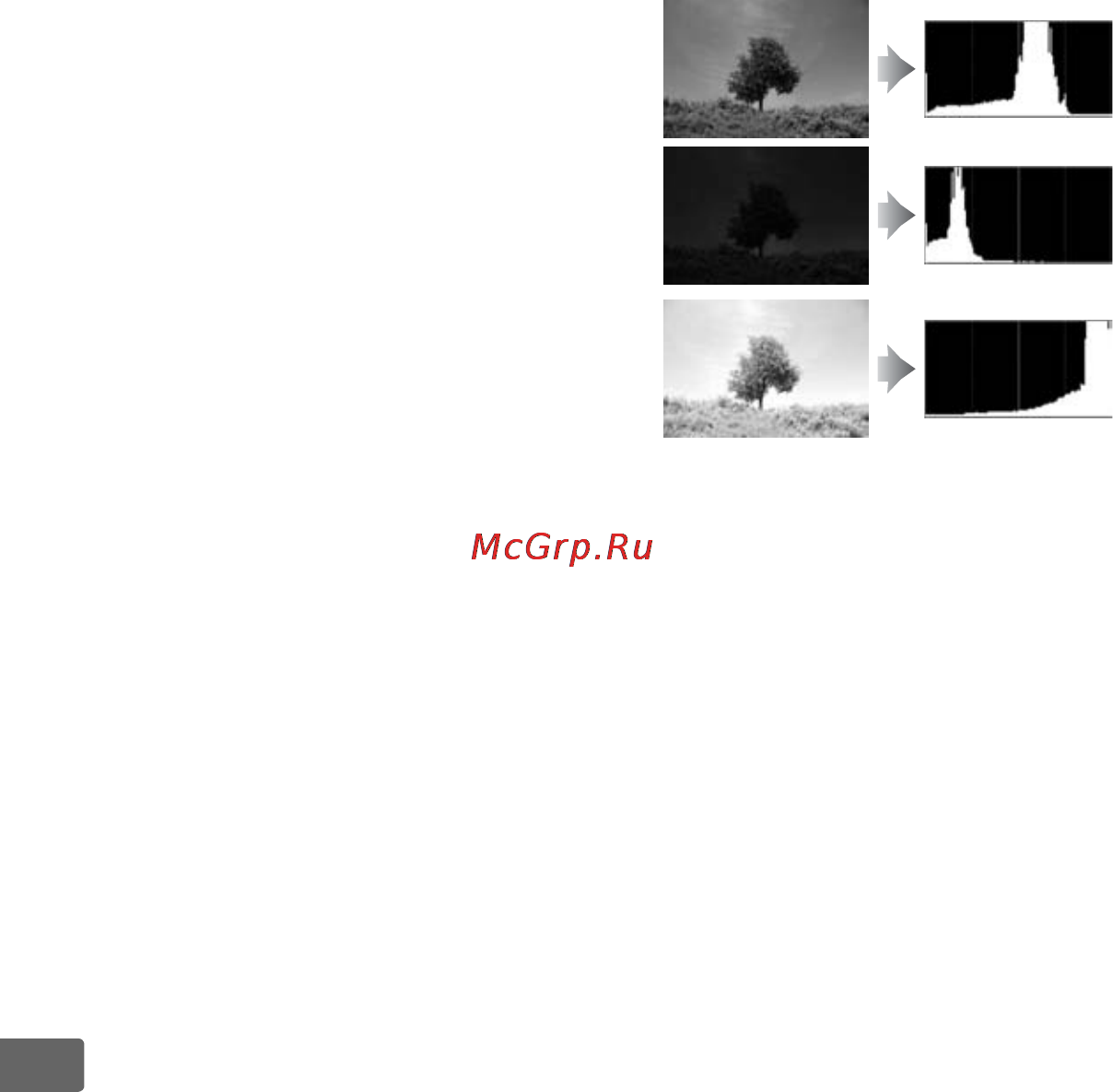 Nikon D700 Body [250/472] Гистограммы