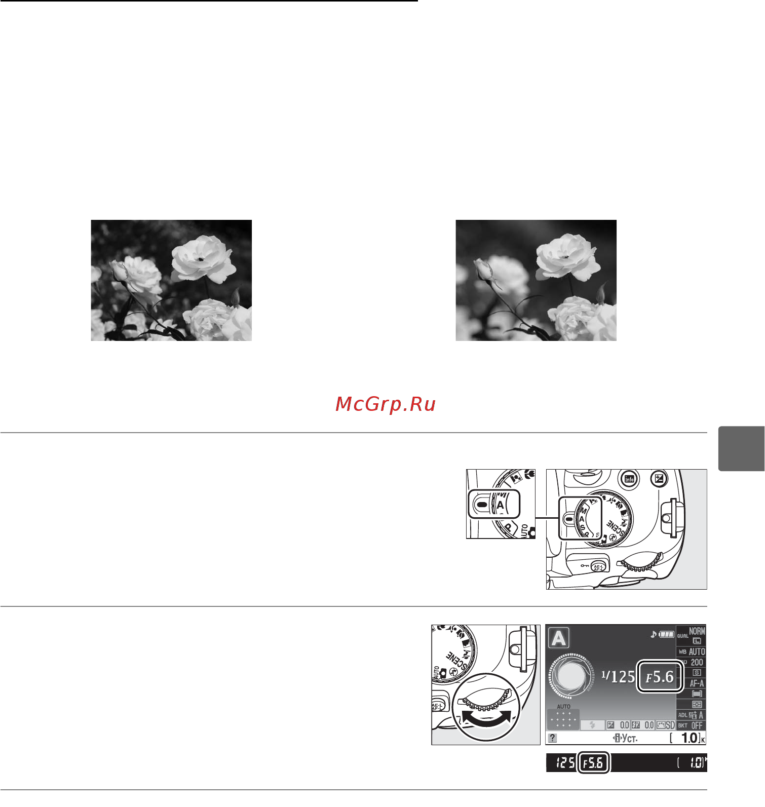 Nikon D5000 AF-S DX 18-55 VR [101/256] Выберите диафрагму