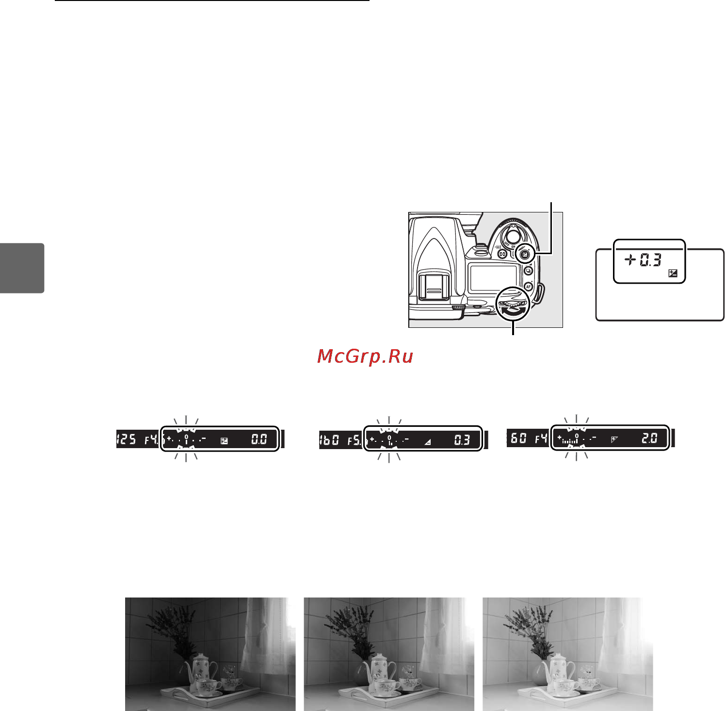 Nikon D90 Body [110/300] Поправка экспозиции
