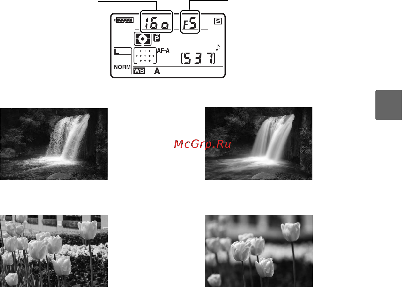 Nikon D90 Body Инструкция по эксплуатации онлайн [99/300] 27342