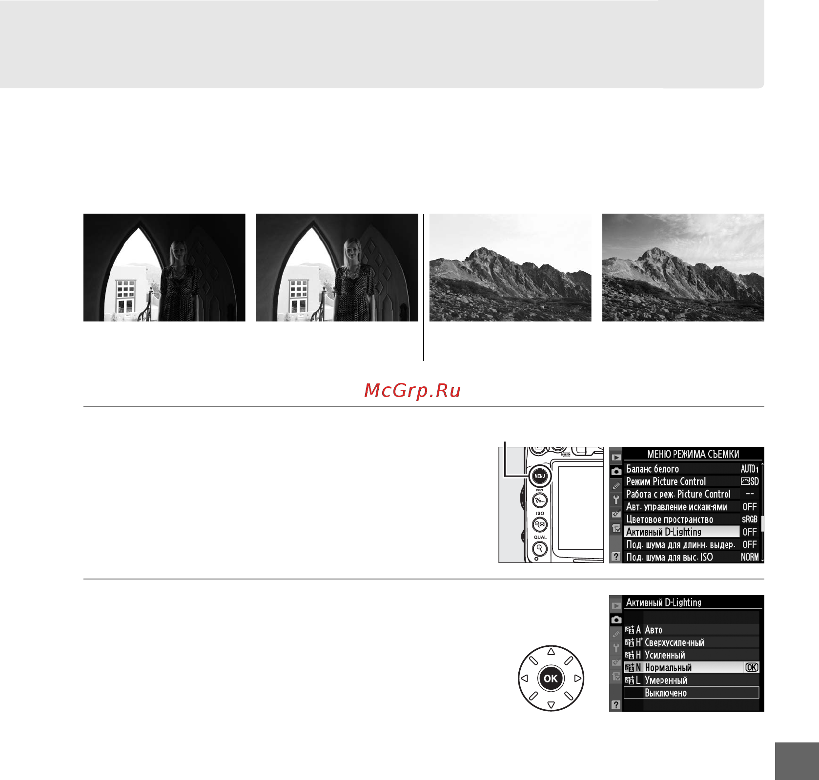 Nikon D7000 Body [159/348] Активный d lighting
