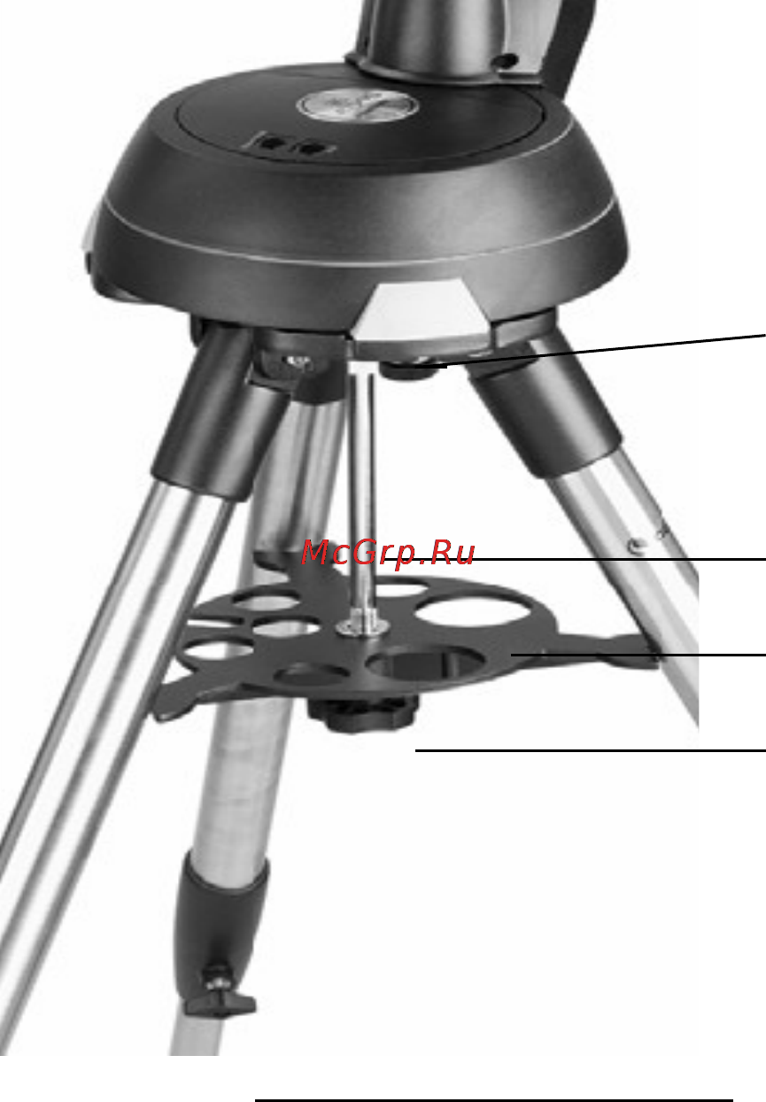 Celestron NexStar 8 SE Инструкция по эксплуатации онлайн [9/31] 27568