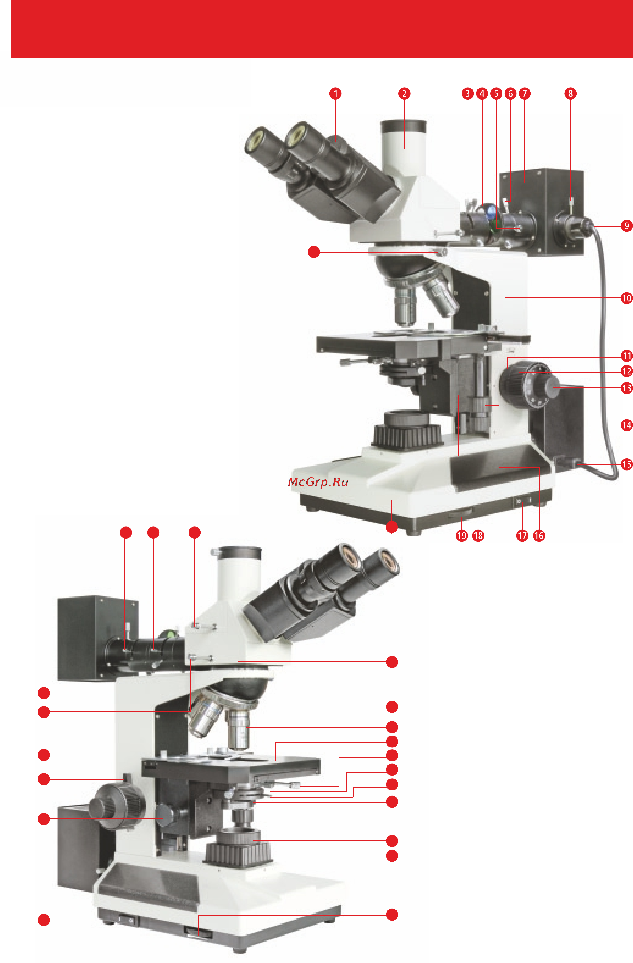 Bresser Science ADL-601P [2/8] Ðèñ 1