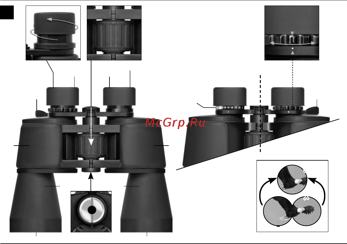 Bresser Spezial-Zoomar 7-35x50 Инструкция по эксплуатации онлайн [2/44] 28191