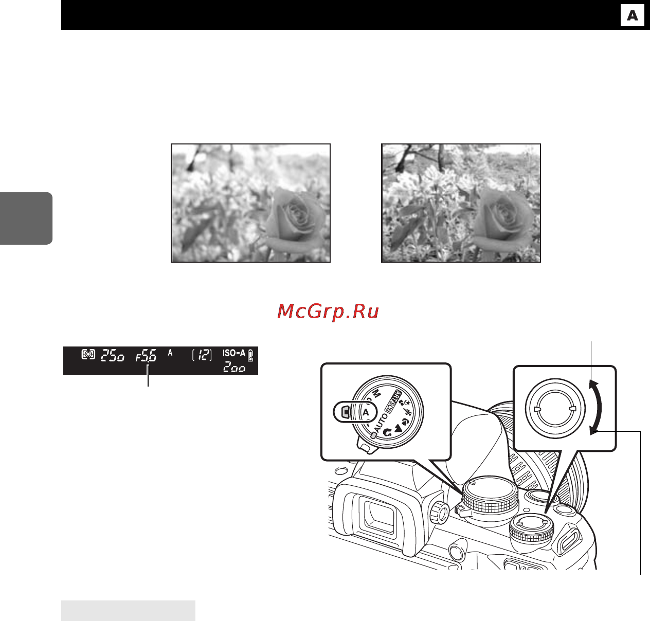 Olympus E-620 EZ-1442 + HLD-5 Kit [44/163] Съемка с приоритетом диафрагмы
